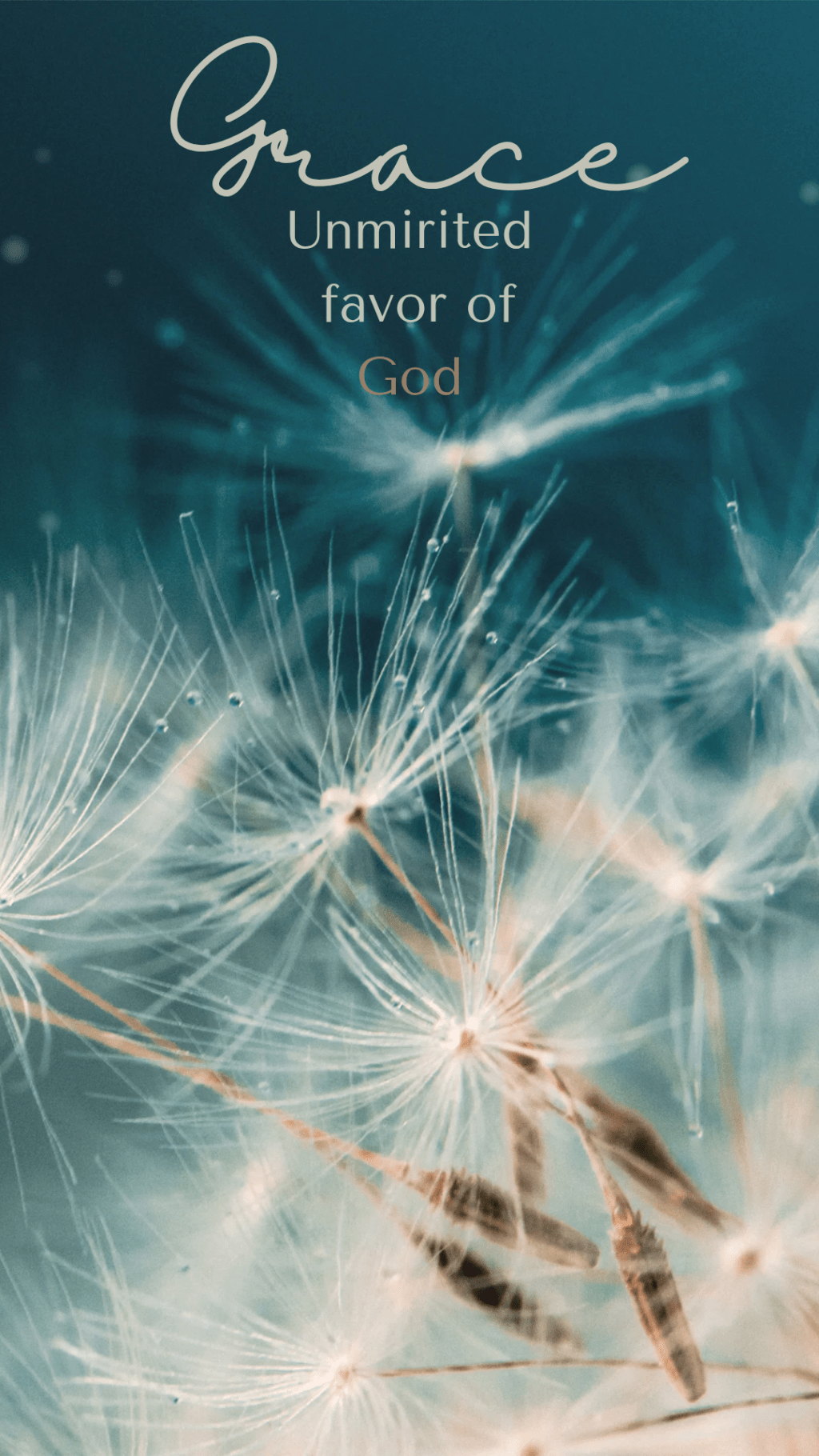 Seeds of Hope lead to Grace